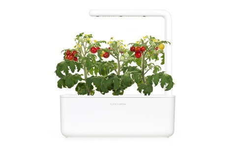 Click and Grow, Click and Grow Click and Grow, Click and Grow Kräutertopf »Smart Garden 3 Weiss«