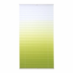 LIEDECO, Jalousie, Liedeco, »Farbverlauf«, Plissee, Faltenstore, Lichtschutz, Fixmass, ohne Bohren, Liedeco Plissee »Farbverlauf«, Lichtschutz, ohne Bohren, verspannt