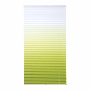 LIEDECO, Jalousie, Liedeco, »Farbverlauf«, Plissee, Faltenstore, Lichtschutz, Fixmass, ohne Bohren, Liedeco Plissee »Farbverlauf«, Lichtschutz, ohne Bohren, verspannt