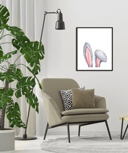 QUEENCE, queence Bild »Alco«, Hase, (1 St.), queence Bild »Alco«, Hase-Hasen-Haustiere-Kunst, (1 St.), HD Premium Poster-Druck inkl. Holzrahmen
