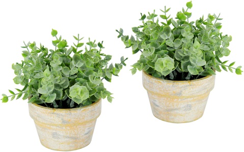 IGEA, I.GE.A. Kunstpflanze »Künstlicher Eukalyptus im Topf 2er Set Pflanze«, Deko Blume für Hochzeit Plastikpflanze Kräuter Deko-Kräuter, I.GE.A. Kunstpflanze »Künstlicher Eukalyptus im Topf 2er Set Pflanze«, Deko Blume für Hochzeit Plastikpflanze Kräuter Deko-Kräuter