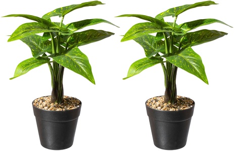 Creativ green, Creativ green Künstliche Zimmerpflanze »Dracaena draco«, (2 St.), im Topf, 