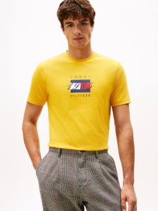 Tommy Hilfiger T-Shirt »LINEAR FLAG GRAPHIC«, Rundhals, regular fit, Jersey