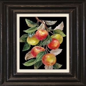 QUEENCE, queence Leinwandbild »Äpfel«, queence Leinwandbild »Äpfel«, Kunst-Obst-Stillleben-Obst Bilder, Premium-Leinwandstoff, Handarbeit aus Deutschland, 40x40cm