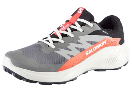 Salomon Laufschuh »ALPHAGLIDE GORE-TEX«, wasserdicht