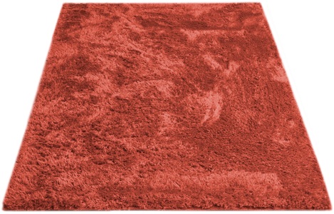 undefined, Teppich POSADA, Andiamo Hochflor-Teppich »Posada«, rechteckig, 32 mm Höhe, Uni-Farben, weich & kuschelig, Wohnzimmer