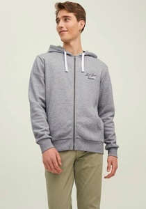JACK & JONES, Jack & Jones Kapuzensweatjacke »JJ JJANDY SWEAT ZIP HOOD«, 