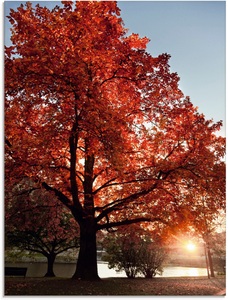 Artland Glasbild »Herbstbaum«