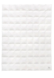 Balette, Sommerduvet, Balette, »Weiss & Edel«, Balette Daunenbettdecke »Weiss & Edel«, leicht, Füllung reine Entendaunen 60%, Bezug 100% Baumwolle, (1 St.), Mit Edelweiss Stickerei