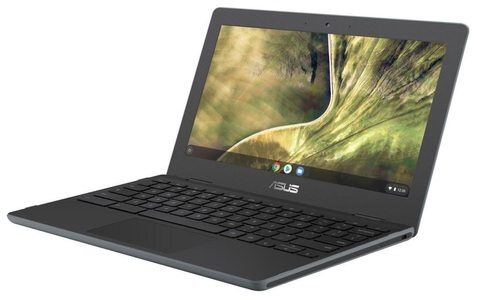 Asus, Asus Chromebook C204Ma-Gj0243 Notebook, 