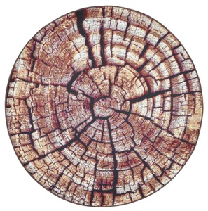 GINO FALCONE, Gino Falcone Teppich »Aurora GF-095«, rund, 5 mm Höhe, Holz Optik, ideal im Wohnzimmer & Schlafzimmer, Gino Falcone Teppich »Aurora GF-095«, rund, 5 mm Höhe, Holz Optik, ideal im Wohnzimmer & Schlafzimmer
