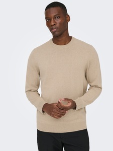 ONLY & SONS, ONLY & SONS Rundhalspullover "ONSREX LIFE REG 12 CREW KNIT"