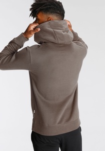 Vans Kapuzensweatshirt »SALTON LOOSE FT PO«