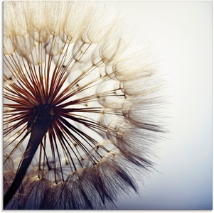 Artland Glasbild »Grosse Pusteblume«