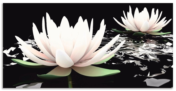 Artland, Artland Wandbild »Zwei Lotusblumen auf dem Wasser«, Artland Wandbild »Zwei Lotusblumen auf dem Wasser«, Blumen, (1 St.), als Alubild, Outdoorbild, Leinwandbild, Poster, Wandaufkleber