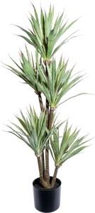 Creativ green, Creativ green Künstliche Zimmerpflanze »Dracaena draco«, (1 St.), im Topf, 