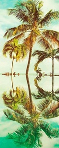 Komar, Komar Vlies Fototapete »Key West Panel«, 100/250 cm, Komar Vliestapete »Key West Panel«, 100x250 cm (Breite x Höhe), Vliestapete, 100 cm Bahnbreite