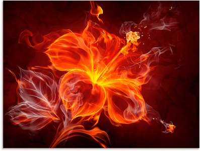 Artland Glasbild »Feuerblume«