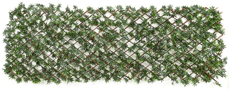 GardenDeluxe living, GardenDeluxe living Dekozaun »Spalier Japan-Ahorn Blätter«, ausziehbarer Zaun, mit Kunstranke, natürliche Optik, Sichtschutz, Andiamo Kunsthecken-Sichtschutz »Spalier Japan-Ahorn Blätter«, ausziehbarer Zaun, mit Kunstranke, natürliche Optik, Sichtschutz