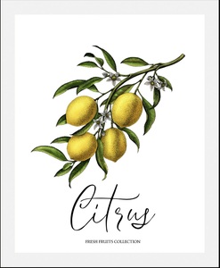 QUEENCE, queence Bild »Citrus«, (1 St.), gerahmt, queence Bild »Citrus«, Obst-Obst Bilder-Essen-Lebensmittel-Kunst-Schriftzug-Italien-Spanien, (1 St.), HD Premium Poster-Druck inkl. Holzrahmen