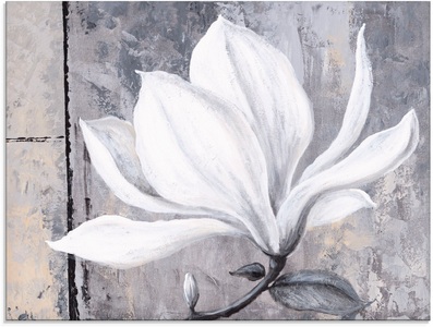 Artland Glasbild »Klassische Magnolie«