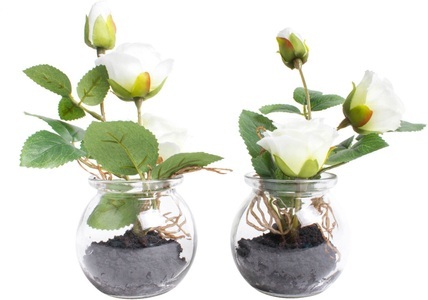 Botanic-Haus, Botanic-Haus Kunstblume »Rosen im Glas«, (Set, 2 St.), Botanic-Haus Kunstblume »Rosen im Glas«