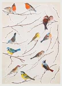 Komar, KOMAR Wandtattoo »Vögel«, Komar Wandtattoo »Vogerl - Grösse 50 x 70 cm«, selbstklebend, Wandsticker