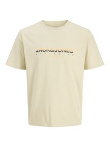Jack & Jones Print-Shirt »JORCANGGU TEE SS CREW NECK FST«, mit Logoprint