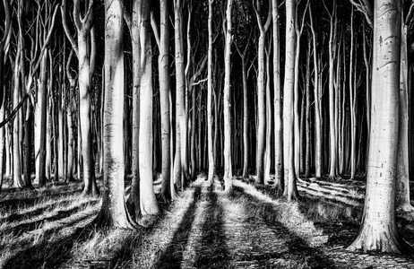 Papermoon, Papermoon Fototapete »Photo-Art PIXXELPARK, GEISTERWALD«, Vliestapete, hochwertiger Digitaldruck, inklusive Kleister, Papermoon Fototapete »Photo-Art PIXXELPARK, GEISTERWALD«