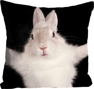 queence Dekokissen »Hugging Bunny«, (1 St.), mit einem kuschelbedürftigen Hasen