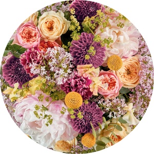 Komar, Komar Fototapete »Frescas«, Comic-botanisch, 125 x 125 cm, Komar Fototapete »Vlies selbstklebend - Frescas - Grösse 125 x 125 cm« bedruckt glatt Wohnzimmer, Schlafzimmer