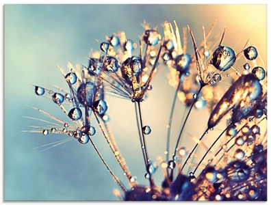 Artland Glasbild »Pusteblume Glitzertau«
