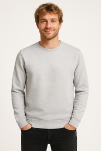 ONLY & SONS Sweatshirt »ONSCHASE REG CREW SWEAT OTL«