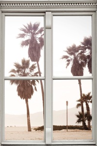 QUEENCE, queence Wandsticker »Palmen«, queence Wandsticker »Palmen«, Wandsticker, Wandbild, selbstklebend, 3D, Fenster