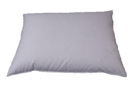 Billerbeck, billerbeck - Kopfkissen HIRSE/DAUNEN - weiss - Baumwolle - 50cm/70cm, Billerbeck Kissen Lilia