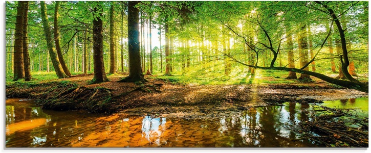 Artland Glasbild »Wald mit Bach«