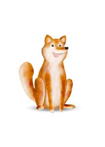 Komar, Komar Poster »Cute Animal Dog«, Komar Bild »Cute Animal Dog«, Tiere, (1 St.), Wandbild zur Dekoration - ohne Rahmen