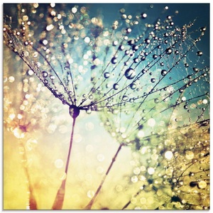 Artland Glasbild »Pusteblume Zaubertropfen«