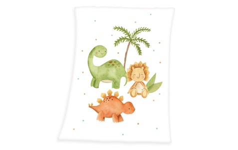 babybest®, babybest® Microfaser-Flauschdecke Dinos 70 x 100 cm, Herding Babydecke »Dinos 75 x 100 cm«