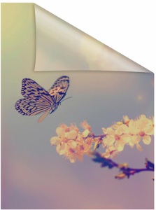 LICHTBLICK ORIGINAL Fensterfolie »Schmetterling Blüte« 1 blickdicht strukturiert Klebepunkte selbstklebend, Sichtschutz