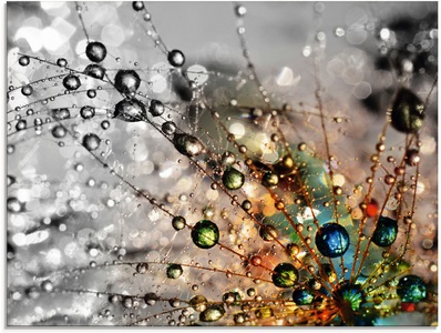 Artland Glasbild »Farbenfrohe Natur«