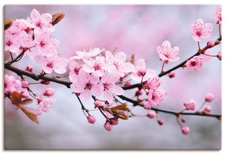 Artland, Artland Wandbild »Kirschblüten«, Artland Wandbild »Kirschblüten«, Blumen, (1 St.), als Alubild, Outdoorbild, Leinwandbild, Poster, Wandaufkleber