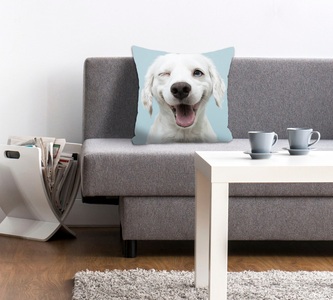 queence Dekokissen »Crazy Dog«, (1 St.), mit einem zwinkernden Hund