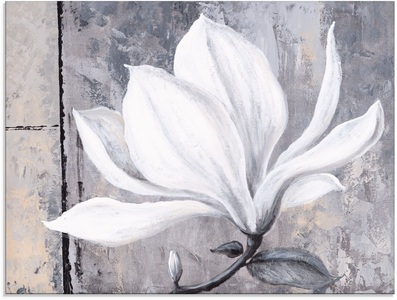Artland Glasbild »Klassische Magnolie«