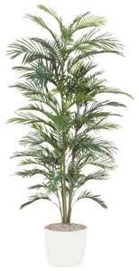 Creativ green, Creativ green Kunstpalme »Palme«, Creativ green Kunstpalme »Palme«