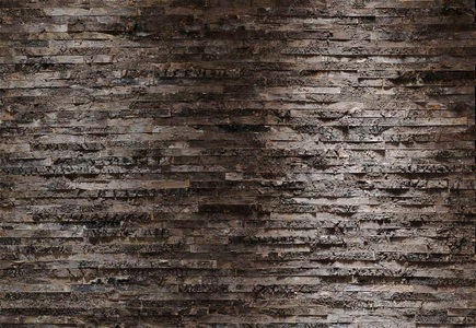Komar, Fototapete, Komar, »Birkenrinde«, 368/254 cm, Komar Fototapete »Birkenrinde - Grösse 368 x 254 cm« bedruckt glatt Wohnzimmer, Schlafzimmer