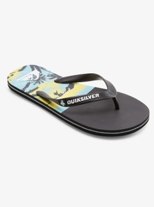 QUIKSILVER, Quiksilver Sandale »Molokai Panel«, 