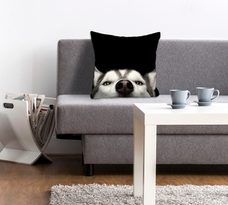 queence Dekokissen »Husky«, (1 St.), mit einem neugierigen Husky