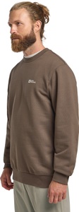 Jack Wolfskin Langarmshirt »ESSENTIAL CREWNECK M«