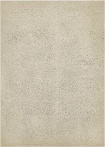 HOME AFFAIRE, Home affaire Teppich »Santos«, rechteckig, Uni-Farben, sehr weicher Flor, fusswarm, my home Teppich »Santos«, rechteckig, 27 mm Höhe, Uni-Farben, sehr weicher Flor, fusswarm